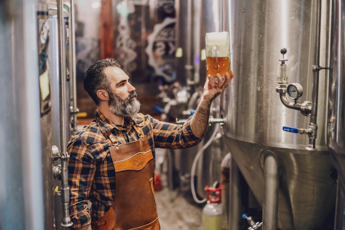 Bearded brewery master holding glass of beer and evaluating its